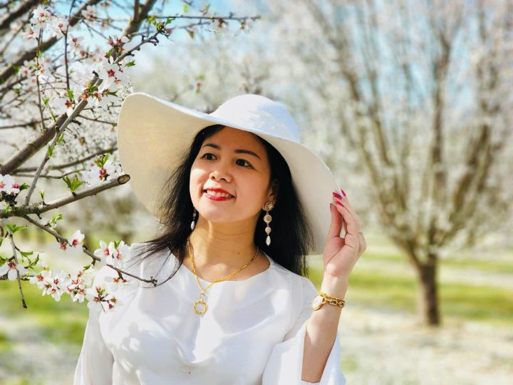 Trang thơ Hồng Lĩnh